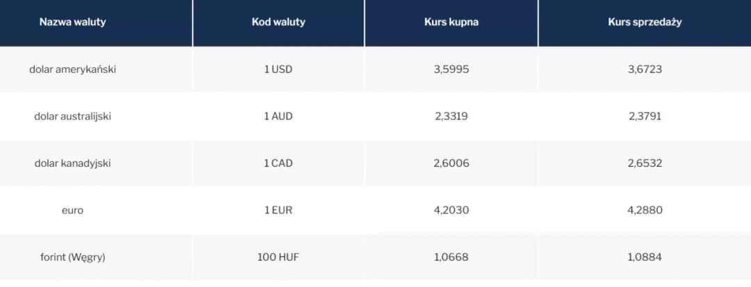 Jak kupić euro w NBP – procedury, kursy i opłaty, które musisz znać