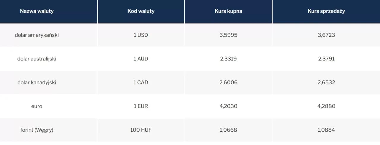 Jak kupić euro w NBP – procedury, kursy i opłaty, które musisz znać